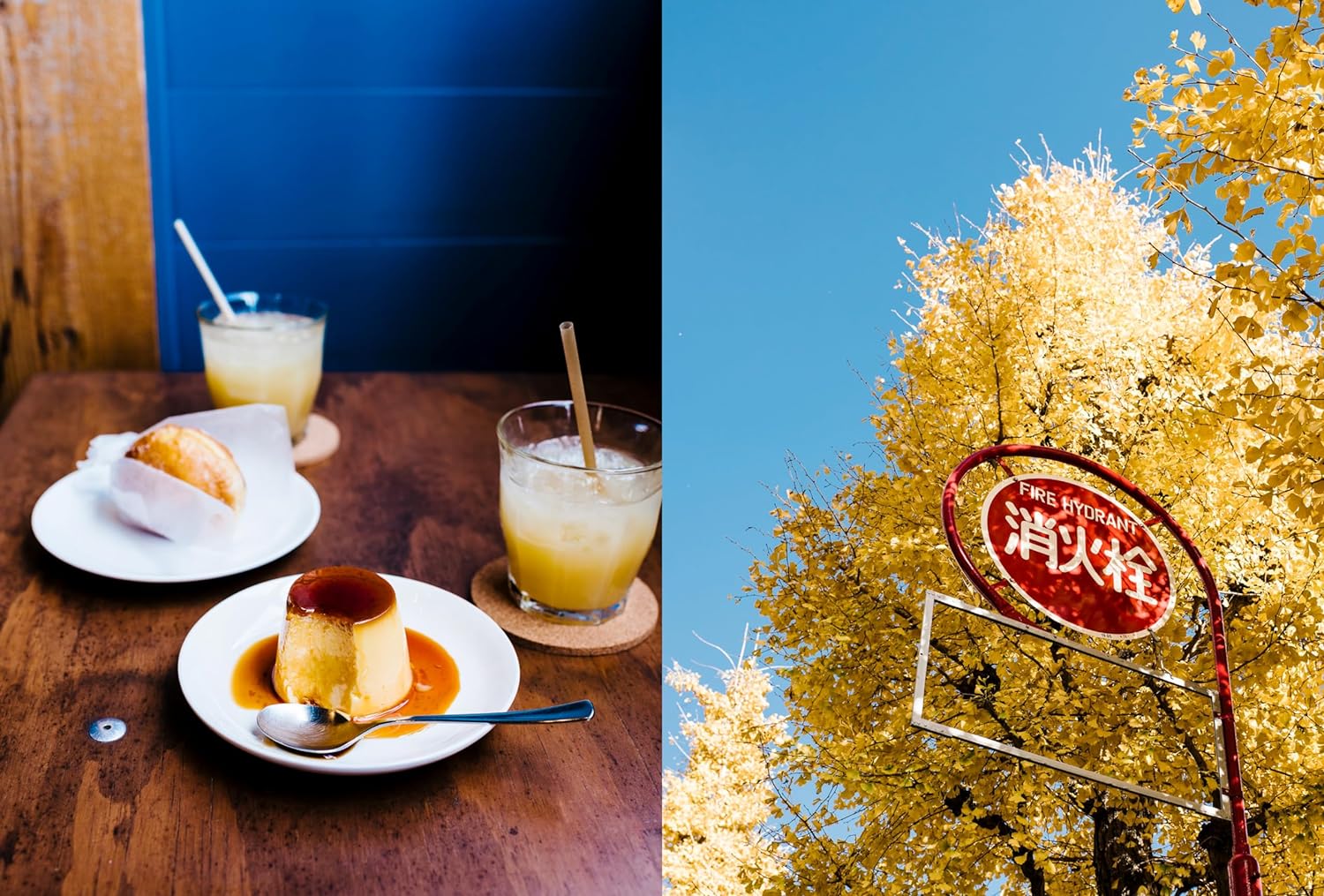 A Day in Tokyo: A Japanese Cookbook - Image 2
