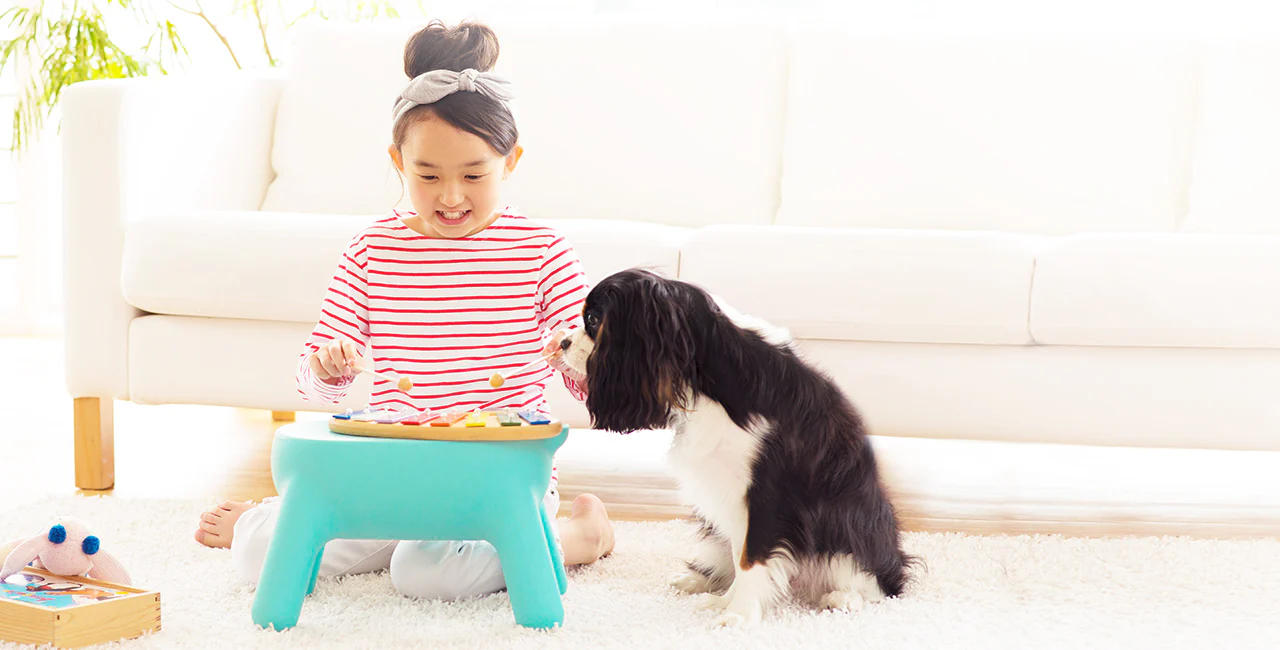 Hasegawa Purill Kids Step Stool - Yellow - Image 4