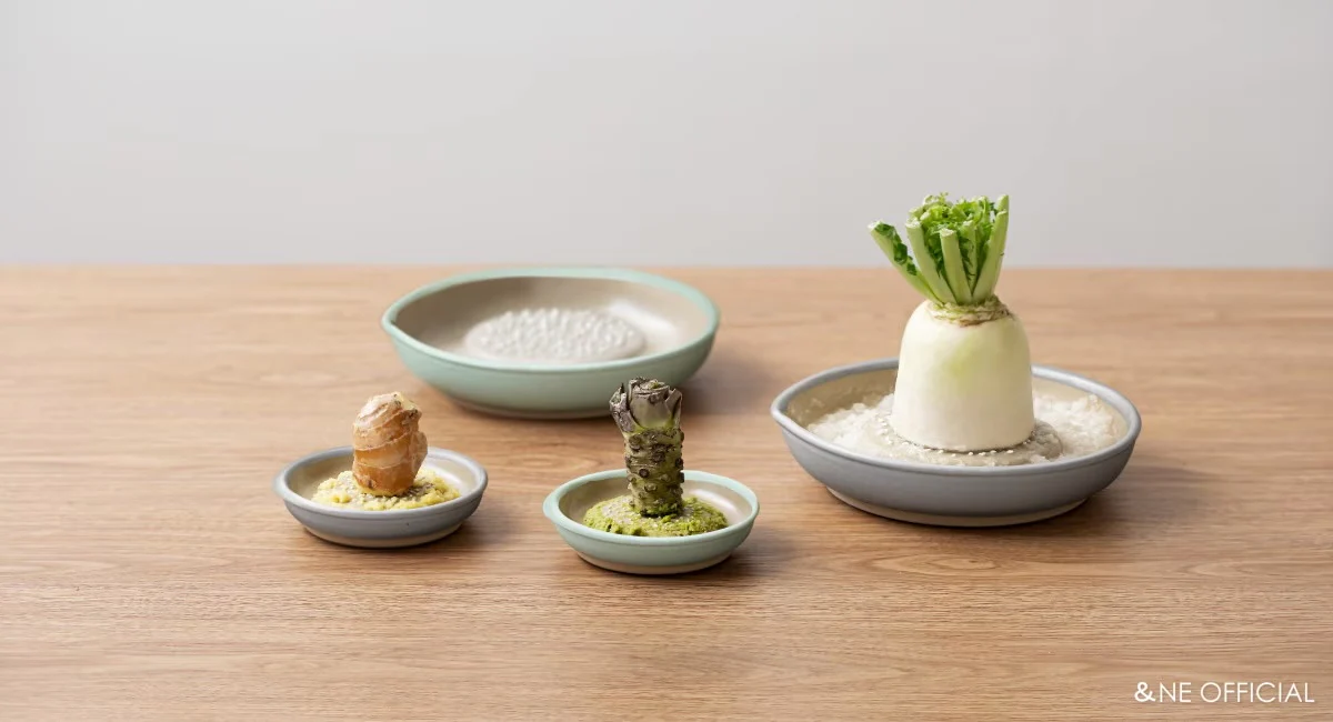 Motoshige Iwami Ware Japanese Ceramic Ginger Grater 10cm - White - Image 12