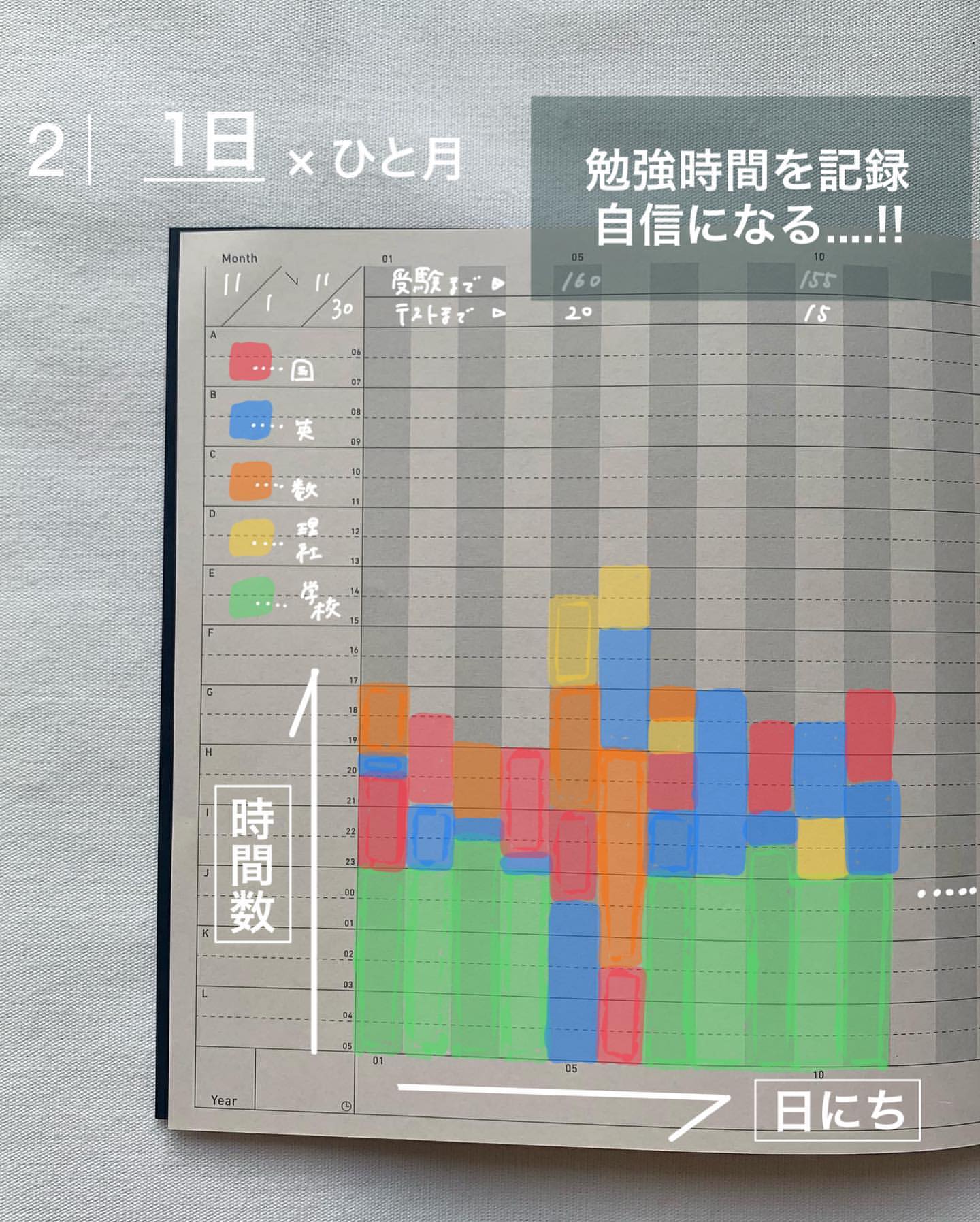 Sikigu Project Plan (Beige) - Image 4