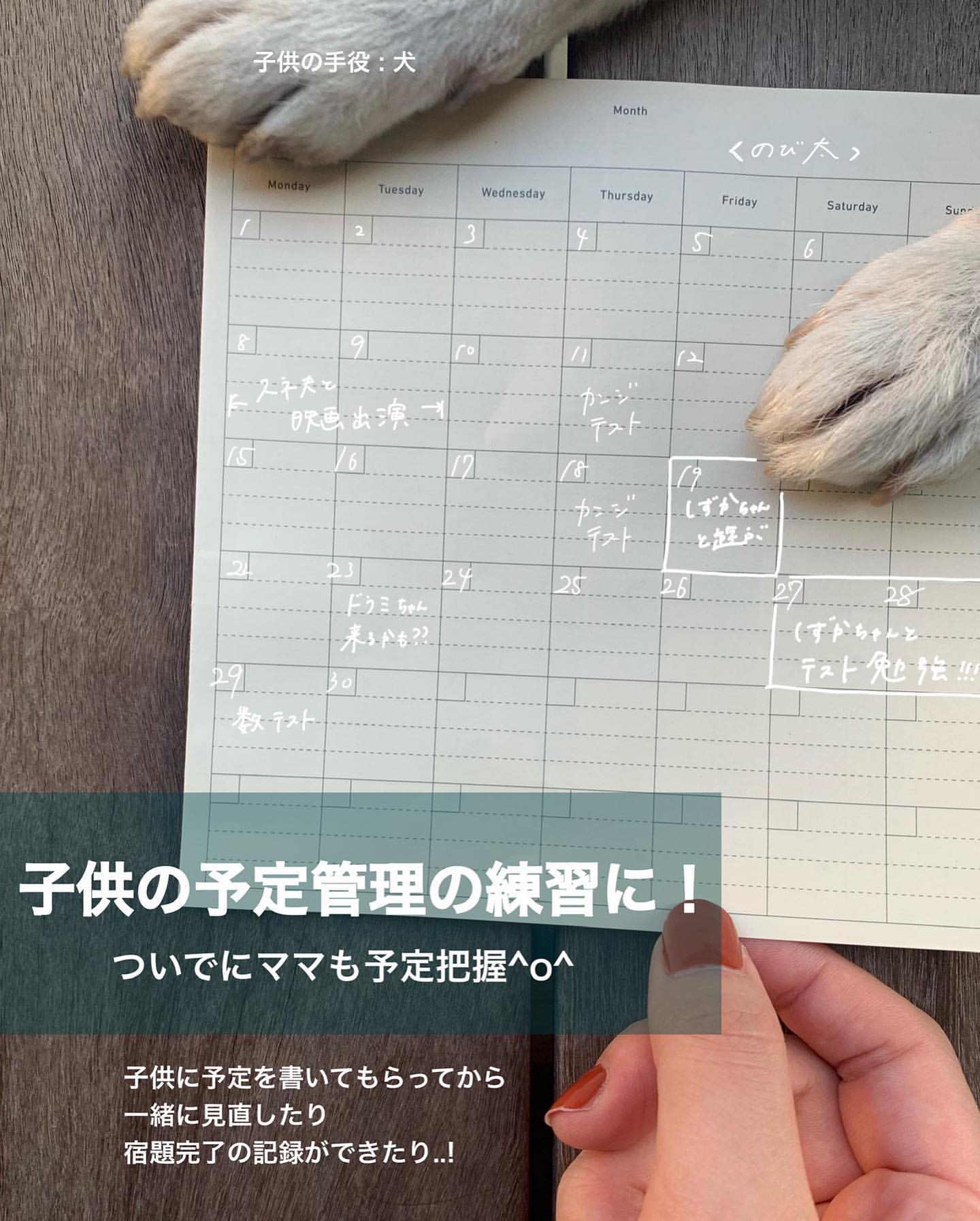Sikigu Project Plan (Beige) - Image 7