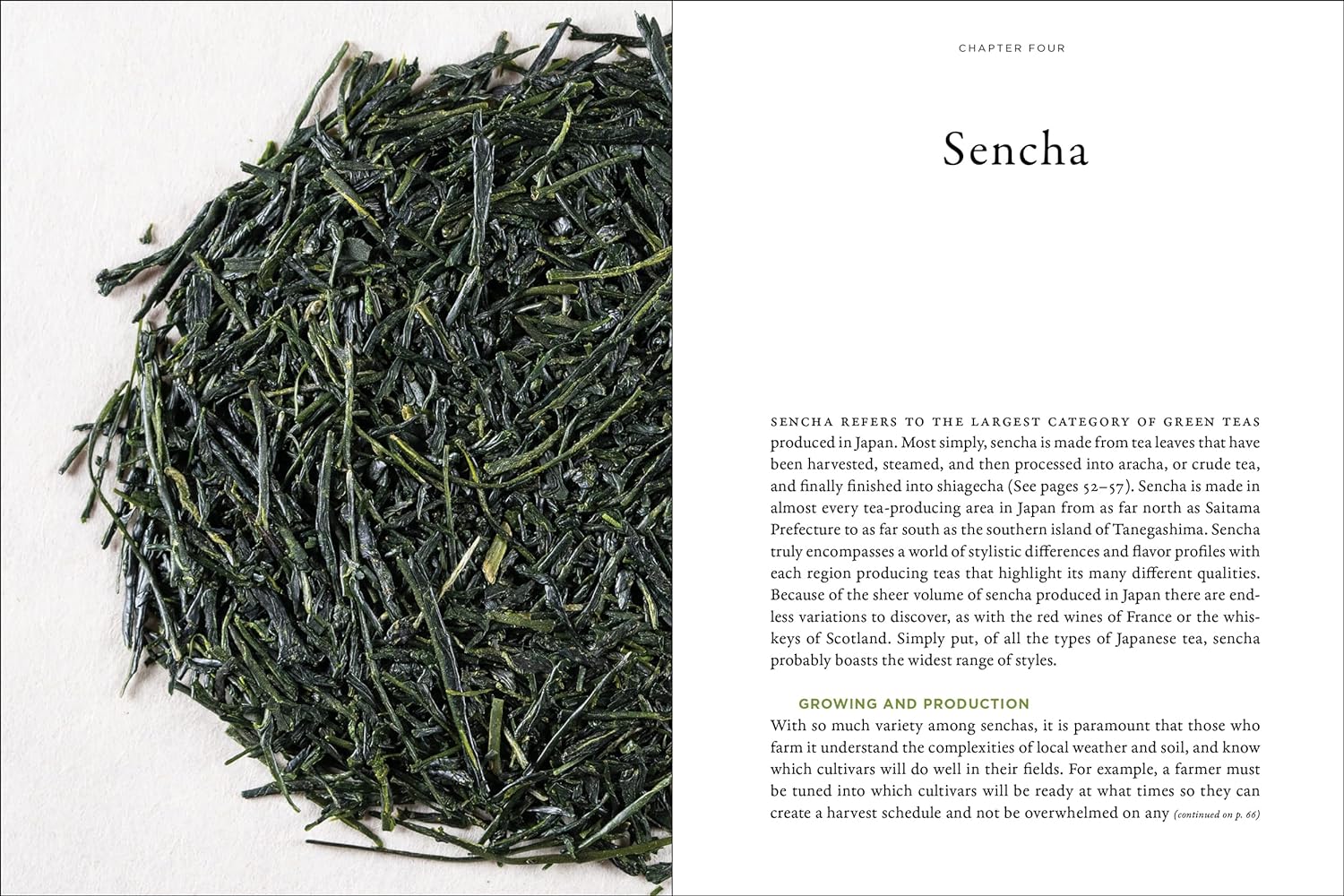 Stories of Japanese Tea - Image 4