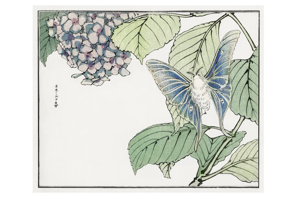 The Art of Japanese Wood Block Printing: 100 postcards from the masters - Image 8