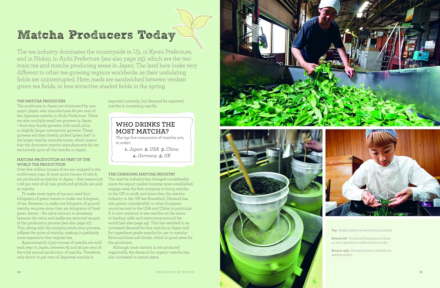 The Book of Matcha - Image 8