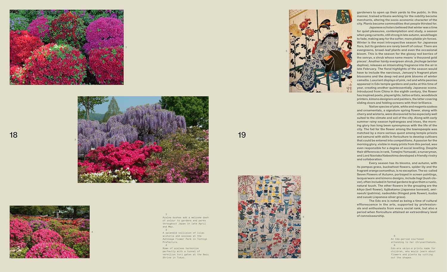 The Modern Japanese Garden - Image 6