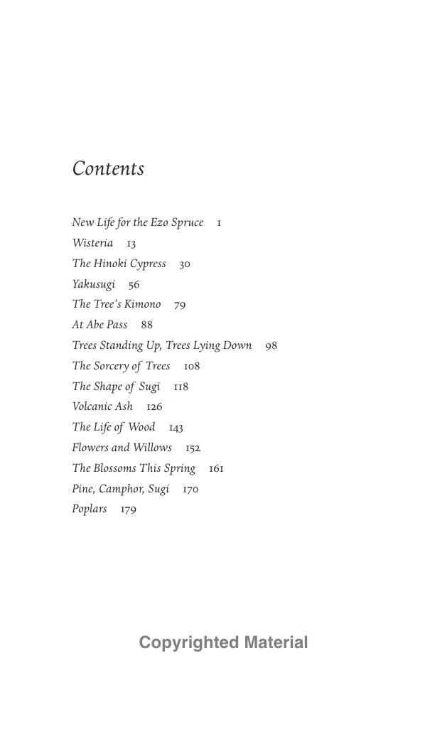 Tree - Image 6